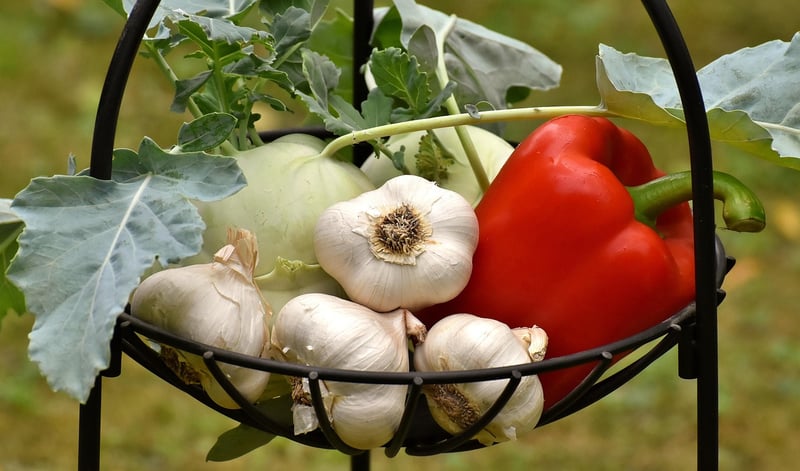 Colorful Harvest